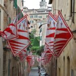 Foto della bandiera della Contrada Girafa a Siena