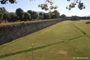 Photo des murs de Lucques