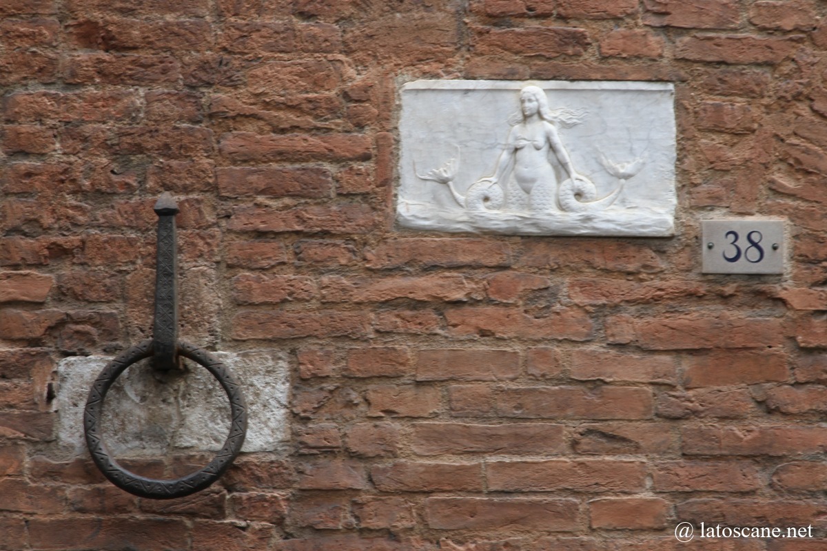 Photo of a plaque of a siren in Siena