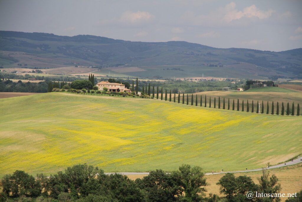 Vue panorama sur les champs du Val d'Orcia