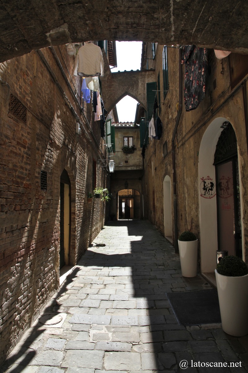 Veduta della Via Camollia a Siena