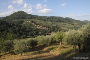 Vue sur Collodi en Toscane