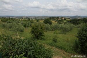 Photo des paysages de Gambassi Terme à Certaldo