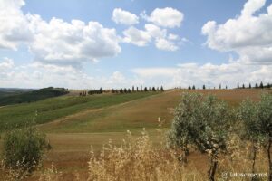 Vue sur les Campi Elisi, Pienza