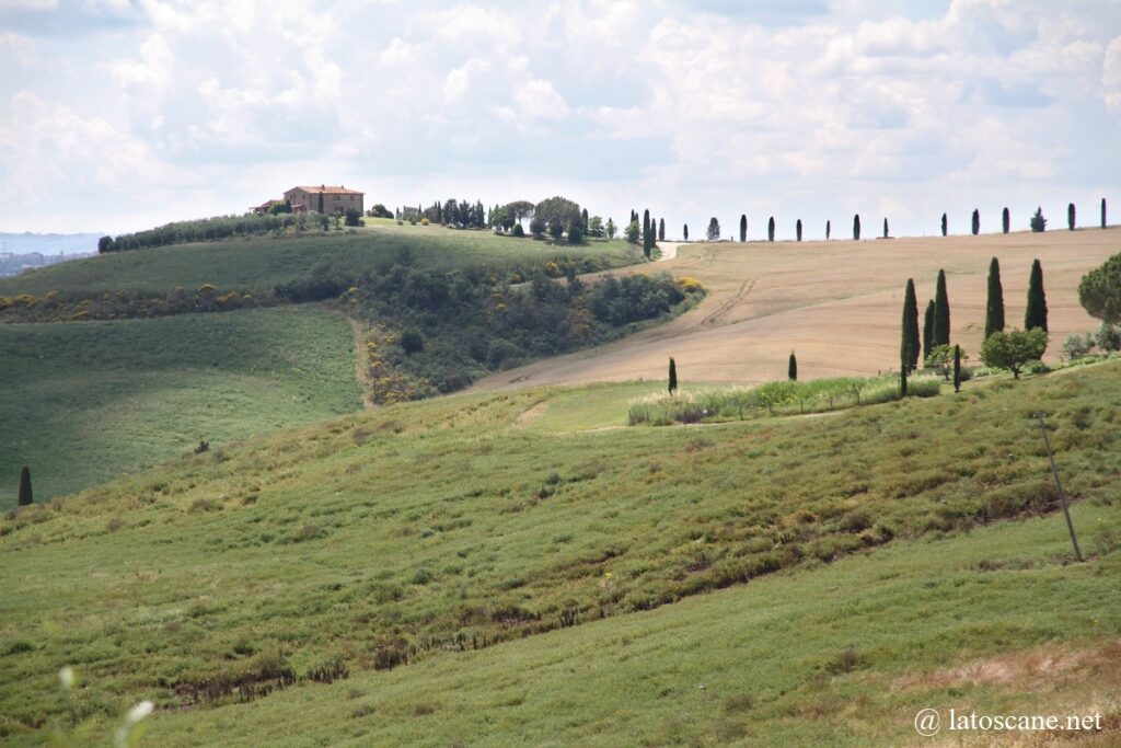 Vue sur les Campi Elisi, Pienza