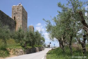 Photo de l'enceinte de Monteriggioni