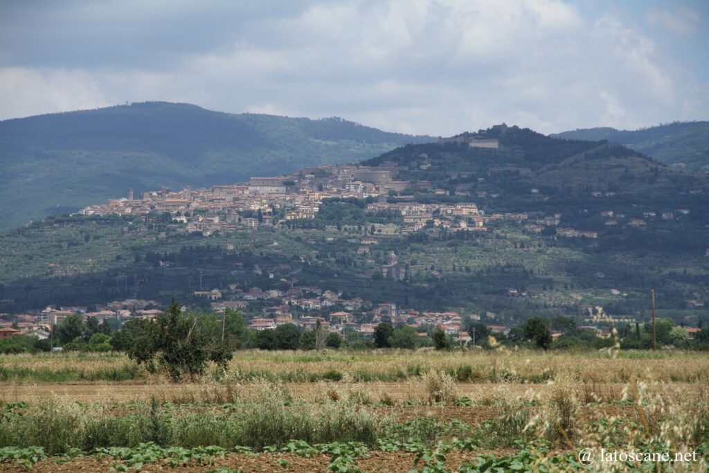 Panorama sur la colline de Cortone