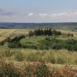 Bas Val d'Elsa, dans les collines toscanes