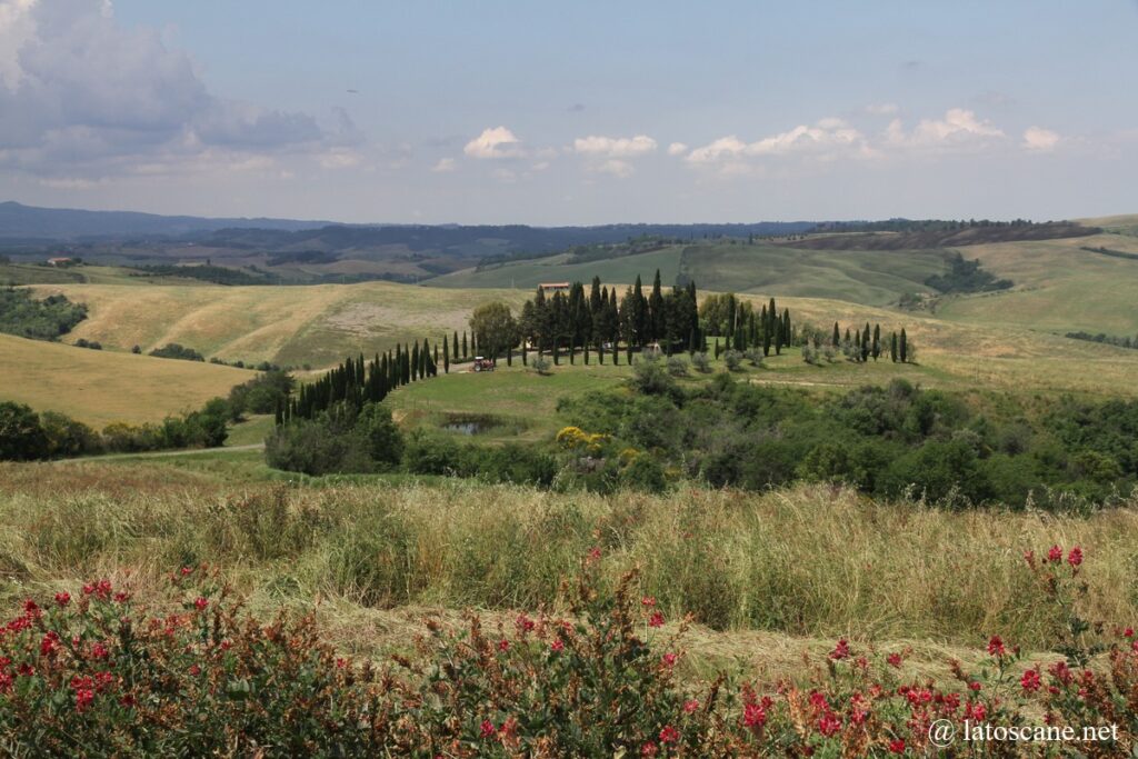 Paysage de la basse vallée d'Elsa en Toscane