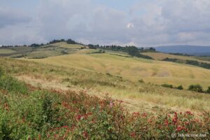 Paysage de la basse vallée d'Elsa en Toscane