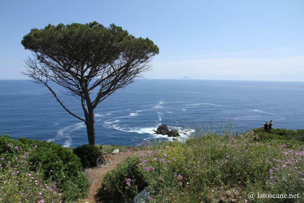 Photo de l'Île d'Elbe, la côte et la mer