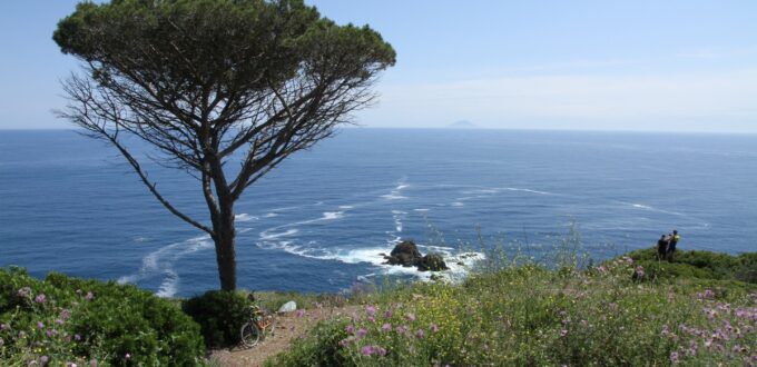 Photo de l'Île d'Elbe, la côte et la mer