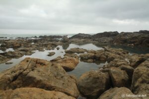 Vue de la Punta Righini à Castiglioncello