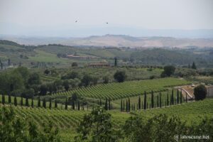 Photo du paysage autour de San Gusmé, Chianti