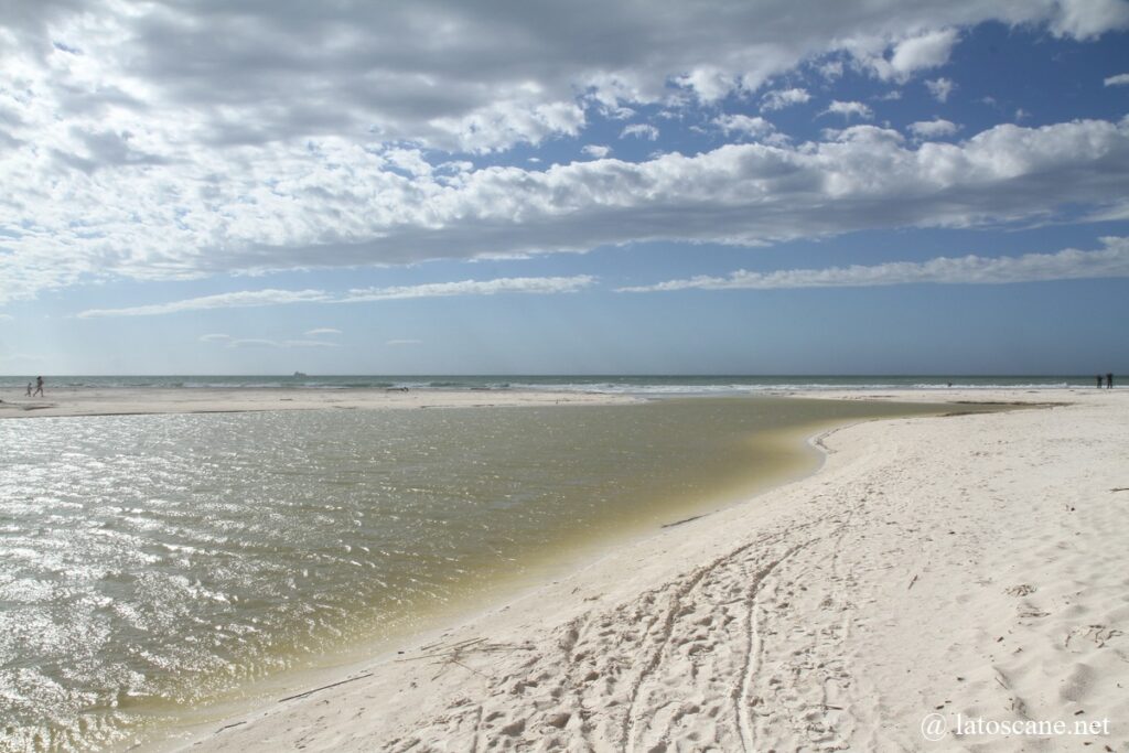 Photo des plages blanches à Rosignano Solvay