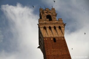 Photo de la Tour de la Mangia à Sienne
