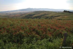 Panorama Val di Cecina entre Volterra et Montecatini