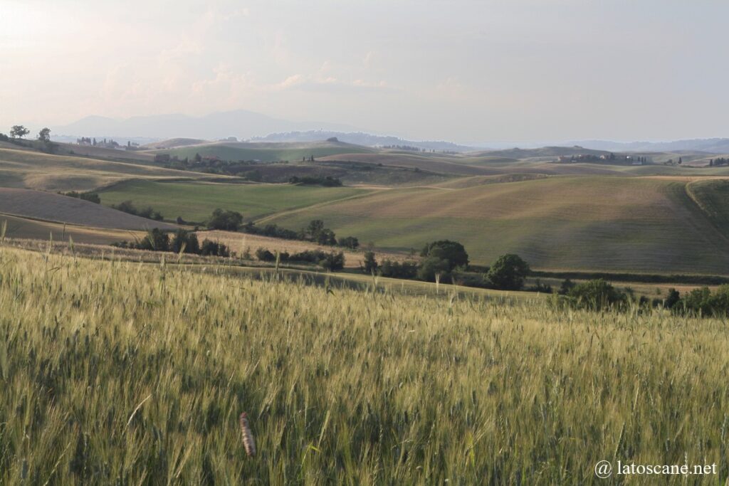 Panorama Val di Cecina