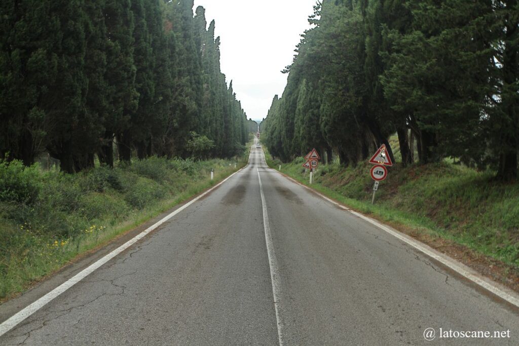 Vue du Viale dei Cipressi à Bolgheri