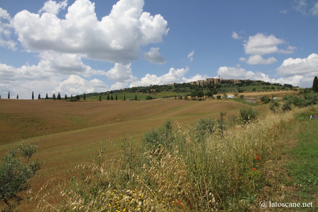 Panorama sur Pienza et environs