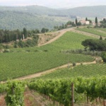 Chianti region