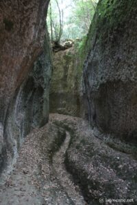 Photo de la Via Cava di San Rocco à Sorano