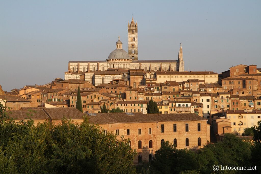 Vue sur Sienne et la cathédrale