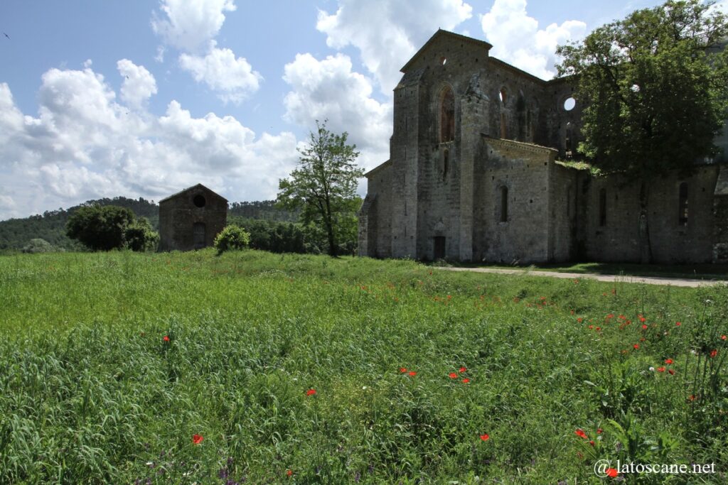 Photo de l'abbaye de San Galgano