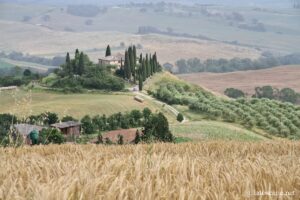 Point de vue Val d'Orcia près de San Quirico