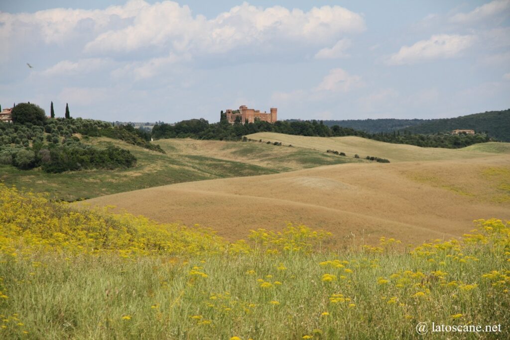 Panorama vers le château de Gallico dans les Crete Senesi