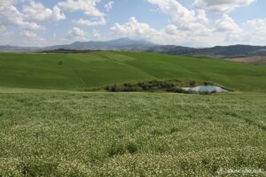 Photo des paysages près de la Chapelle de la Madonna di Vitaleta