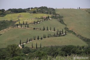 Photo de la route des cyprès près de Monticchiello