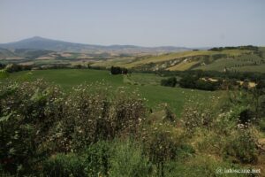 Photo de la route des cyprès près de Monticchiello