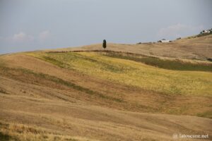 Panorama des Crete Senesi en Toscane