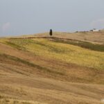 Crete Senesi