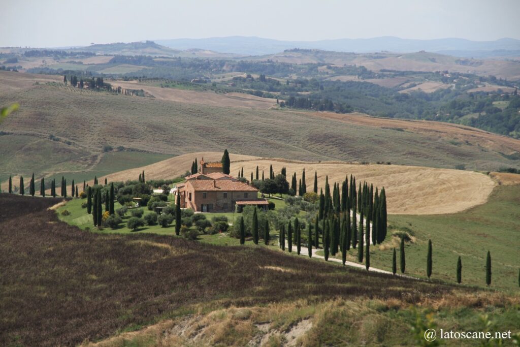 Vue de l'avenue des Cyprès, Crete Senesi, Toscane