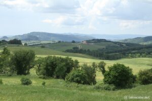 Panorama du paysage entre Pise et Volterra