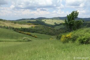 Panorama du paysage entre Pise et Volterra