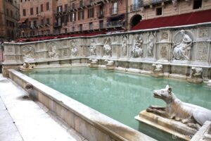 Photo de la Fonte Gaia à Sienne