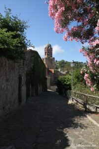 Photo du centre historique de Castiglione della Pescaia