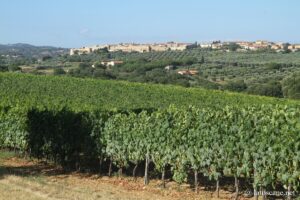 Panorama sur MAgliano in Toscana