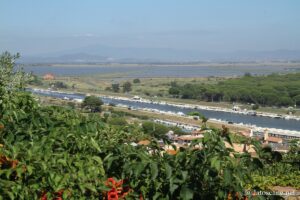 Panorama sur la réserve naturelle Diaccia Botrona à Castiglione della Pescaia